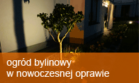 nowoczesny ogród bylinowy
