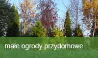 ogrody przydomowe i rabaty kwiatowe