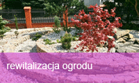 rewitalizacja ogrodu