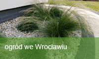 ogród we Wrocławiu